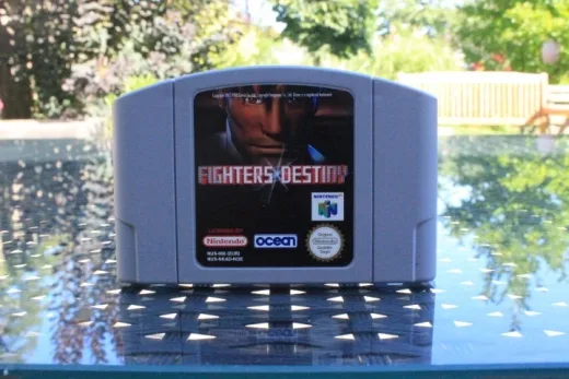 Fighters Destiny reference image