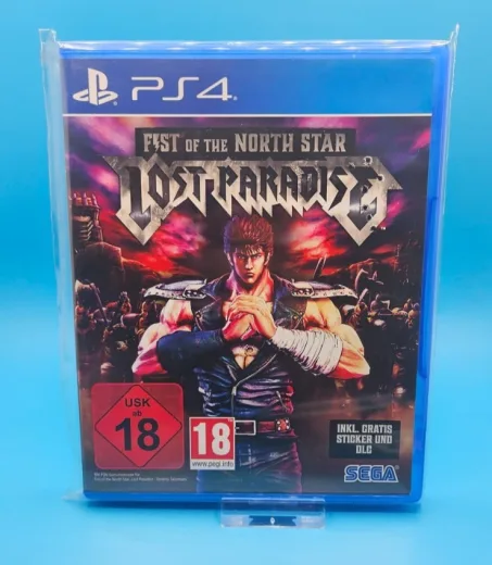 Fist of the North Star Lost Paradise reference image